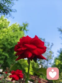 接纳所有想放手的念头，中年不必勉强将就。