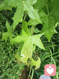 守一方清净，听人间心事。