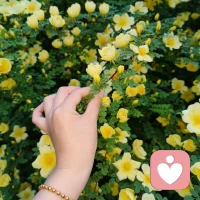 生活的本意是开心 

平静些 幸福些 顺利些 (´͈ᵕ`͈)◞♡配图