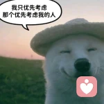 舟舟的头像