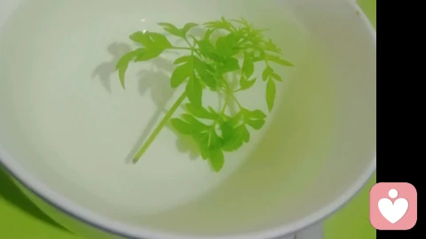 一碗牛肉面的重量