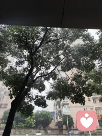 下雨了，听着雨声，就很像每一下都提醒着自己，该给心静下来，让自己变得更好👌🏻配图