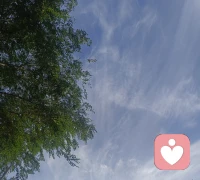 今天第一天入驻平台，本人经历丰富，是非常棒的倾听师，擅长做情绪整理，欢迎来聊聊配图