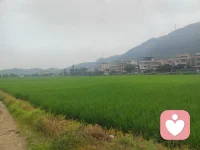 你若足够爱自己，宇宙间的一切均会助力修为越来越好的自己！