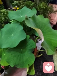 嘿！您今天过得好吗？让今天忙碌了一天的身与心好好睡一觉，是自爱每一个当下的开始，晚安！配图