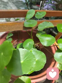 很多人忙着泡脚、食补、练八段锦，

却忘了最该养的，是自己的情绪根。

​配图