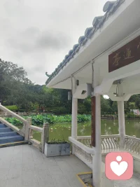 每日遇见新成长🌱

伯特·海灵格关于“爱的秩序”10个清醒洞察

1、爱是秩序的一部分。秩序是早已被排定了的，爱只可以在秩序的范围内成长。假若我将爱与秩序的关系倒转，一定会失败。爱是建立在秩序里的，在其中得到成长。

2、“我承担我的，你承担你的，这才是关系健康的底色。”

3、“当某人给予我东西或我在某人那里索取东西时，不论多少，我总会感到不安。我感到一份压力，直至我付出同等回报。”

4、“在亲密关系中，为了达到平衡，付出和接受要受到共同需求的调节。”

5、“爱需要秩序的承托，没有秩序的爱只会走向毁灭。”

6、“父母与孩子之间的爱，要受到连结、付出与接受，和适当的分工的限制。和其他方面的爱不同的是，只有在付出和接受保持在不平衡的状态下，才能获得成功。”

7、“爱是有秩序的。当你尊重了这些秩序，爱就能自由流动。”

8、“秩序的优先原则：夫妻关系较之作为父母的身份有优先权；与旧的系统相比，新的系统有优先权，新组建的家庭较之与原来家庭的关系有优先权。”

9、“在一个家庭中，如果父母对孩子的爱比他们之间的爱重要得多，爱的法则就会被扰乱。”

10、“真正的帮助往往是克制的，不要随意插手他人的命运。”
-------------------------
​每天学习一点点
每天进步一点点
​我们都遇见更好的自己[爱心]