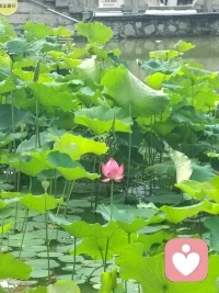 身体好，世界才是你的；
心态好，快乐才是你的。配图