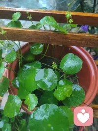 雨雾连天，廊梯凝珠，天地一片湿柔。
泡《懂过》熟茶，茶汤厚重温润，消解潮气，抚平心绪。
原来所有潮湿烦闷，都能在一盏热茶里，慢慢懂过、慢慢释怀。配图