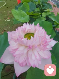 走出去，美好才有机会和你相遇配图