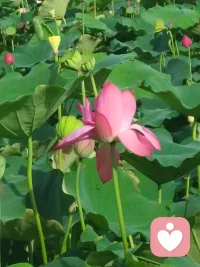走出去，美好才有机会和你相遇配图