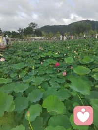 走出去，美好才有机会和你相遇配图