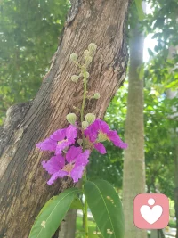不履行承诺的人
​总有它的道理
​不要浪费时间去和它争论
应​远离隔离，
我不会因为人性而感到意外，
也不允许自己花很长时间去感受背叛。我不是受害者，
我是幸存者
​——​(查理·芒格)配图