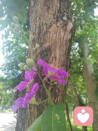 不履行承诺的人
​总有它的道理
​不要浪费时间去和它争论
应​远离隔离，
我不会因为人性而感到意外，
也不允许自己花很长时间去感受背叛。我不是受害者，
我是幸存者
​——​(查理·芒格)配图