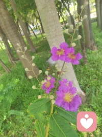 不履行承诺的人
​总有它的道理
​不要浪费时间去和它争论
应​远离隔离，
我不会因为人性而感到意外，
也不允许自己花很长时间去感受背叛。我不是受害者，
我是幸存者
​——​(查理·芒格)配图