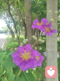不履行承诺的人
​总有它的道理
​不要浪费时间去和它争论
应​远离隔离，
我不会因为人性而感到意外，
也不允许自己花很长时间去感受背叛。我不是受害者，
我是幸存者
​——​(查理·芒格)配图