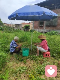 学习《黄帝内经》的启示：
“所有的病，都是对‘道’的偏离；所有的疗愈，都是对‘常’的回归。”
学习，或许能告诉你偏离了什么；但让你回归常态的力量，一定在你自己日复一日、朴素踏实的日常生活里——好好吃饭，好好睡觉，少生气，多感受天地之气。
这已经走在最根本的“疗愈”路上了