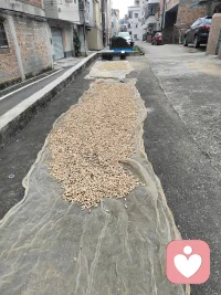 学习《黄帝内经》的启示：
“所有的病，都是对‘道’的偏离；所有的疗愈，都是对‘常’的回归。”
学习，或许能告诉你偏离了什么；但让你回归常态的力量，一定在你自己日复一日、朴素踏实的日常生活里——好好吃饭，好好睡觉，少生气，多感受天地之气。
这已经走在最根本的“疗愈”路上了