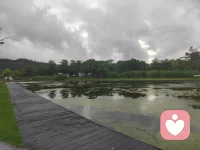 寻回生命力的良方
1，独坐大山吸取宇宙能量
2，拜访高人，提高认知
3，走访集市，与人间共鸣！