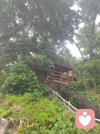 寻回生命力的良方
1，独坐大山吸取宇宙能量
2，拜访高人，提高认知
3，走访集市，与人间共鸣！