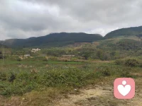 寻回生命力的良方
1，独坐大山吸取宇宙能量
2，拜访高人，提高认知
3，走访集市，与人间共鸣！