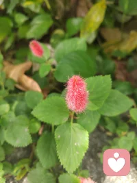 用心陪伴每一个遇见并需要陪伴的你，最难的时间，找个懂你的我，痛苦也许可以打折呢？