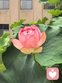 我看见你了，如同看见了独一无二的世界，允许一切的发生，尽管充分体验