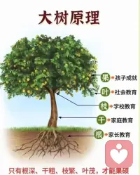 只有根深方可叶茂