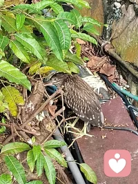 今天下午接待一个婆婆来访，用心倾听其细细述说自己在家的委屈与苦闷，全然允许其泪流渲泄，给予方向性的物理选择隔离，短短一小时，她的情绪舒畅多了，允许任何情绪的流淌是对生命的最大尊重，我们国人往往习惯性忽略了自己的感受。