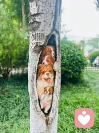 想要的东西越少，

就越接近幸福……