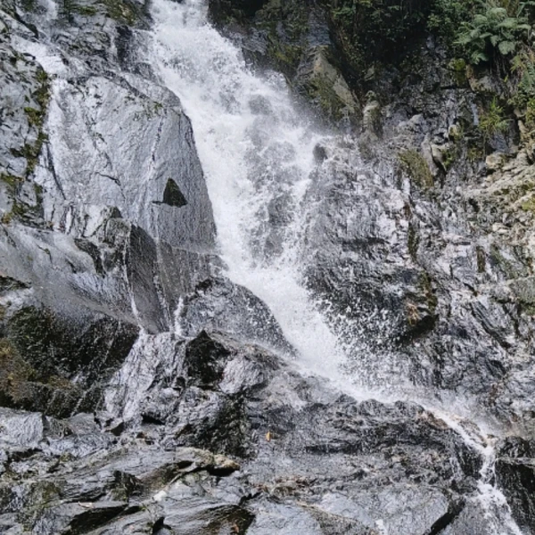 砚心倾听