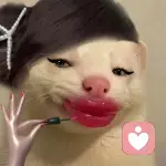 安静🐱（绿色倾听）的头像