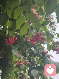 我喜欢，雨落窗前的静谧，将生活里许多浮华掩去，即便，四季的朝暮往复中，不是每一场雨，都恰好让人期待，它忽而瓢泼，阻人前行的脚步，忽而细微，迷人遥望的眼眸。配图