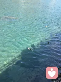 时间匆匆的路口，我们别去了五月，也迎来了悄然的六月，那树影寂静的街巷里，有人忙碌奔波，也有人欣喜以待，清风吹夏凉，人间有相逢。
