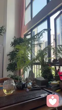 人到中年，真正的觉醒是，有那么一天，你突然意识到，你人生最后的归途，从始至终，都是你自己，没有任何人，只有你自己，你依旧可以过得很好。当你一个人真诚而勇敢地活着，你会发现，有点孤单，有点痛苦，但你一点点找回了真正的自己，自在且独行。