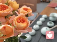 新买的橙色玫瑰🌹，装点下房间，满满爱的能量…配图
