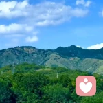 蓦然回首的头像