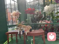 梦是通往潜意识的皇家大道。配图