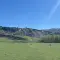21486921
