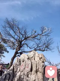 心理学不仅是治疗伤痛的艺术，更是激发潜能、拥抱幸福的科学。配图