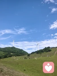 自爱的人，接得住万物的爱。当你足够完整，万物自然臣服。配图