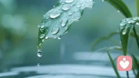 人这一生，总有一段迷茫无人可诉\\n \\n人活到一定年纪，终会明白，人生从不是一路坦途的繁花似锦，更多时候，是一程无人引路、无人共鸣的独行。我们都曾怀揣热忱奔