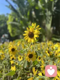 接纳那个对自己高要求的我；
接纳那个对自己不满意的我；
好坏皆是我，好好拥抱完整的自己。配图