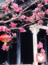 你一直在努力活成别人期待的模样，慢慢弄丢了真实的自己，一边讨好生活，一边暗自内耗。连想要好好爱自己，都觉得是一件奢侈的事。心里的纠结，大可尽数诉说。配图