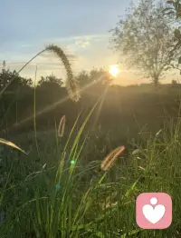 时间教会我的，不是世故，而是通透。
这些细碎的光阴感悟，攒成了现在的我。
一份“人间清醒”清单，送给同样在默默成长的你配图