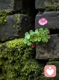 其实人不一定要往高处走，
也可以往四处走。
人不能一直做正确的选择，
偶尔也要做一些喜欢的选择。
与其成为更好的自己，
不如更好的成为自己。配图
