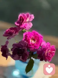没有人知道，
你花了多长时间，
经过多少艰难，
才重新找回内心的平静。
每个人看似热气腾腾的生活，
都隐藏着自己才了解的酸楚，
那些你不能发在朋友圈，
以及无法与家人诉说的，
那些你默不作声，
却暗自消化的各种情绪，
才是你真正的生活。配图