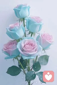 又是美好的一天，从好好爱自己开始🥰🥰🥰🥰