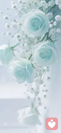 美好的一切正在来的路上……