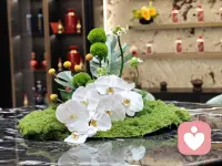 一室清雅，一花一境，静享人间从容。
